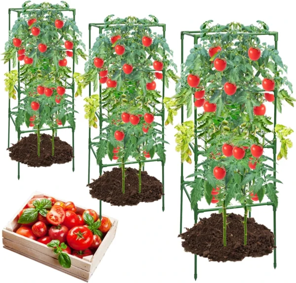 Stakes Support Cages Trellis for Garden Climbing Vegetables Flowers Fruits