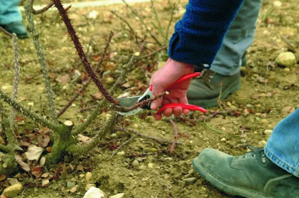 FELCO F-2 068780 Classic Manual Hand Pruner, F 2, Red