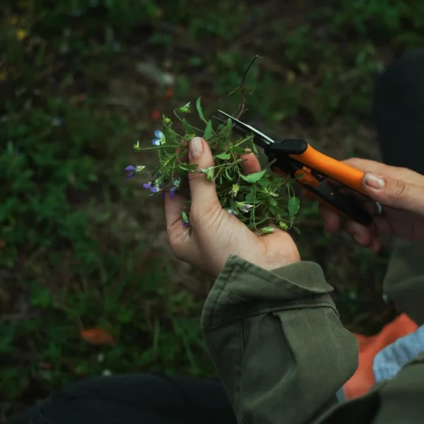 Fiskars Micro-Tip Pruning Snips Yard and Garden Tools - Orange/Black